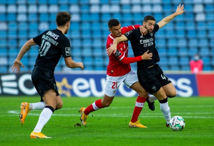 Darwin Nunez R Benfica Celebrates After Editorial Stock Photo Stock