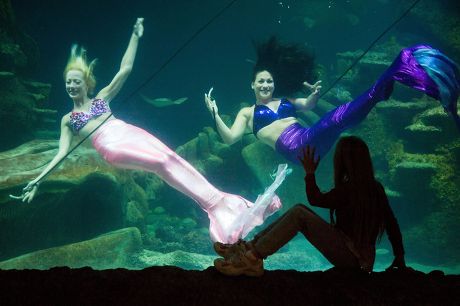 Mermaid Shannon Tooker Editorial Stock Photo Stock Image Shutterstock