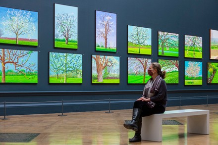 David Hockney The Arrival Of Spring Normandy 2020 Exhibition Preview