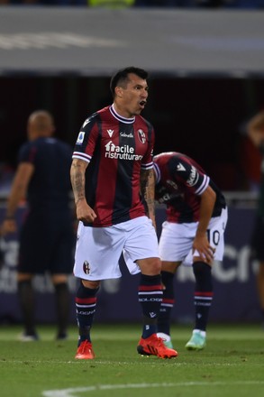 Gary Medel Bologna During Italian Serie Editorial Stock Photo Stock