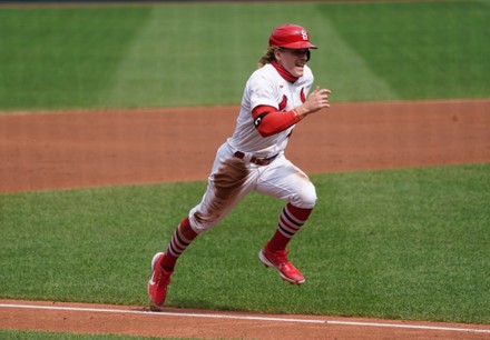 St Louis Cardinals Harrison Bader Scores Editorial Stock Photo Stock