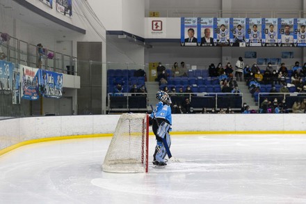 Right Defenseman Sakata Shun Bumps His Editorial Stock Photo Stock