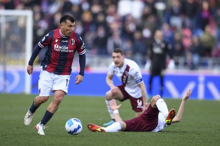 Gary Medel Bologna During Italian Serie Editorial Stock Photo Stock