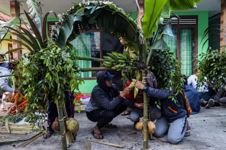 Tenggerese People Making Offerings Rice Fruits Editorial Stock Photo