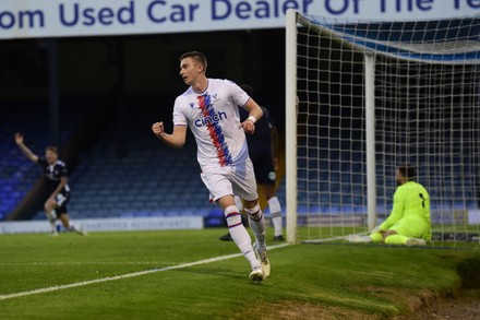 Goal Celebrations Scott Banks Crystal Palace Editorial Stock Photo