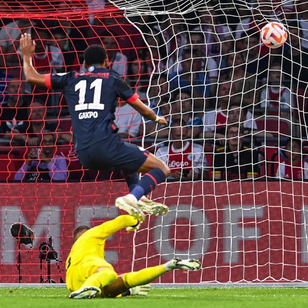 Cody Gakpo Psv Eindhoven Scores Editorial Stock Photo Stock Image