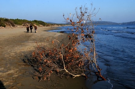 View Feniglia Beach Where Legend Says Editorial Stock Photo Stock