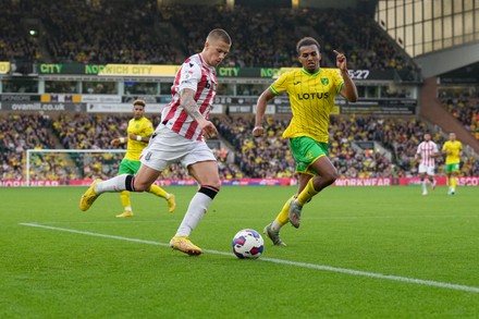 Norwich City Fans Celebrates Goal Gabriel Editorial Stock Photo Stock