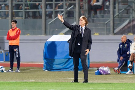 Coach Roberto Mancini Italy Editorial Stock Photo Stock Image