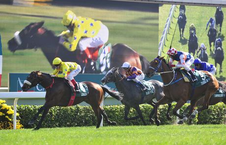 The Cathay Pacific Hong Kong International Races Sha Tin Racecourse