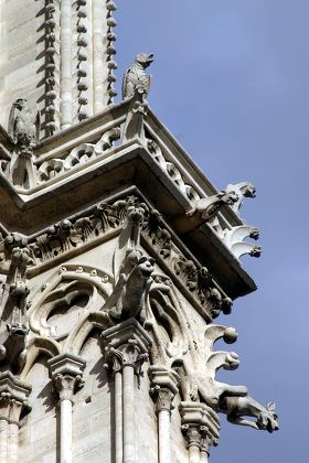 Gargoyles On Notre Dame Cathedral Paris Editorial Stock Photo Stock