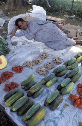 Street Market Capital City Suva Island Editorial Stock Photo Stock