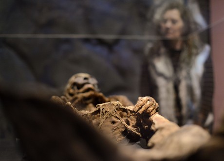 Woman Gets Close Look Mummified Remains Editorial Stock Photo Stock