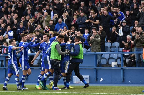 Fernando Forestieri Sheffield Wednesday Celebrates Scoring Editorial