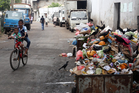 Sri Lankan Boy Rides Past Pile Editorial Stock Photo Stock Image