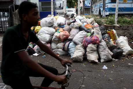 Sri Lankan Worker Sorts Garbage Next Editorial Stock Photo Stock