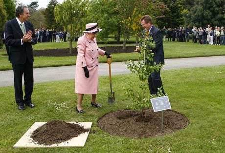Queen Elizabeth Ii Planting Tree Editorial Stock Photo Stock Image