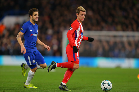 COUNT Chelsea Vs Atletico Madrid UEFA Champions League Group C