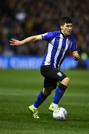 Fernando Forestieri Sheffield Wednesday Editorial Stock Photo Stock