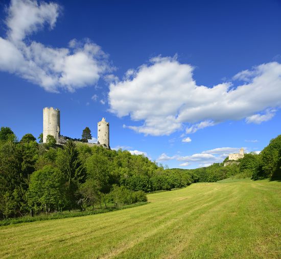 Ruins Rudelsburg Castle Burg Saaleck Castle Editorial Stock Photo