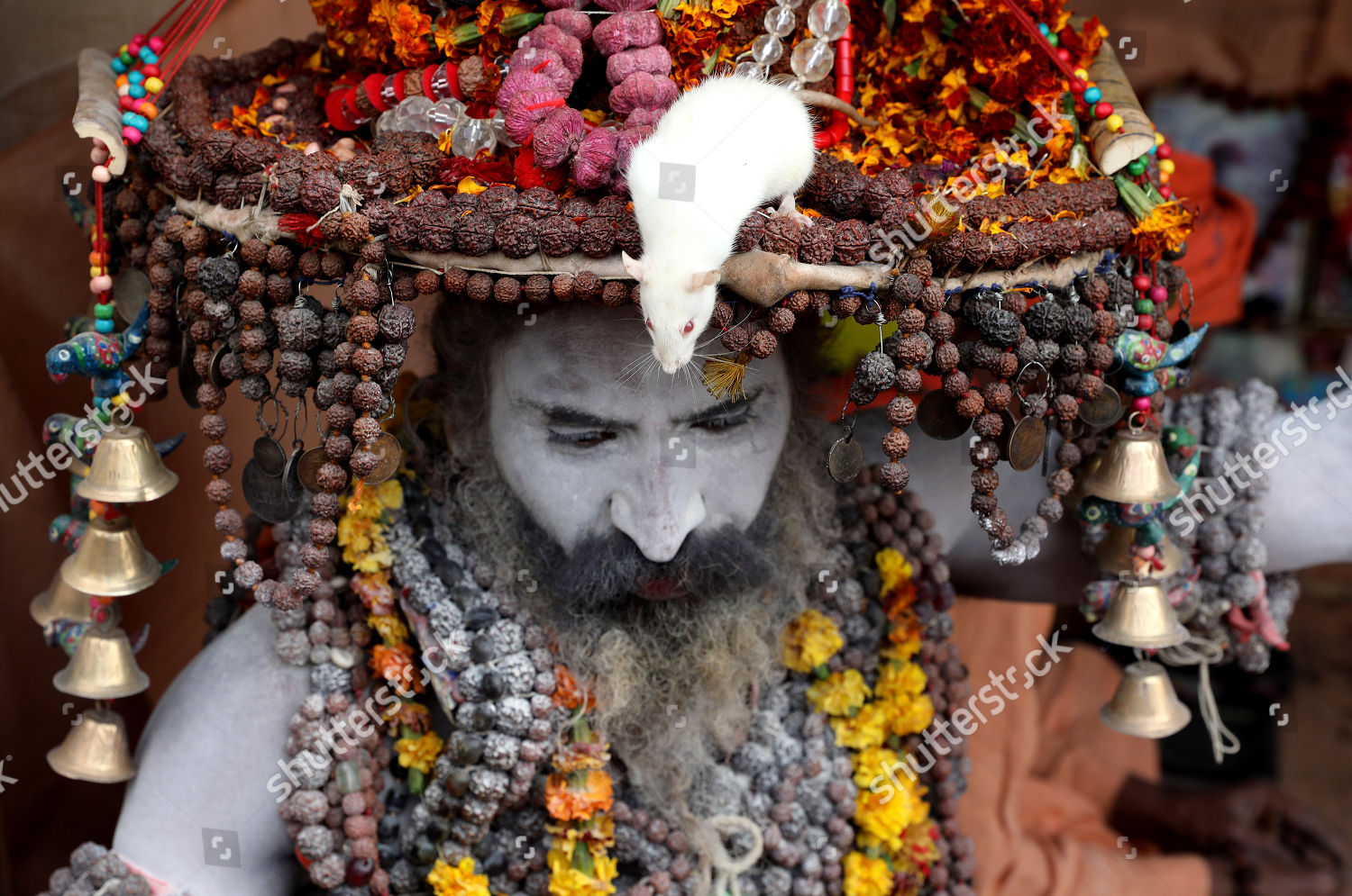 Indian Naga Sadhu Naked Holy Man Editorial Stock Photo Stock Image