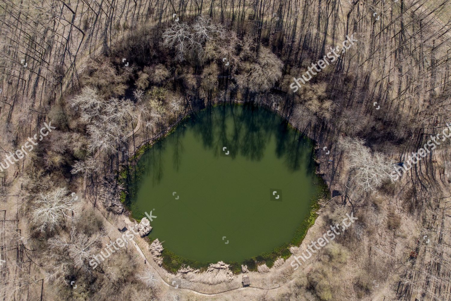 Lake Krater Crater Near Nagyhegyes 200 Editorial Stock Photo Stock