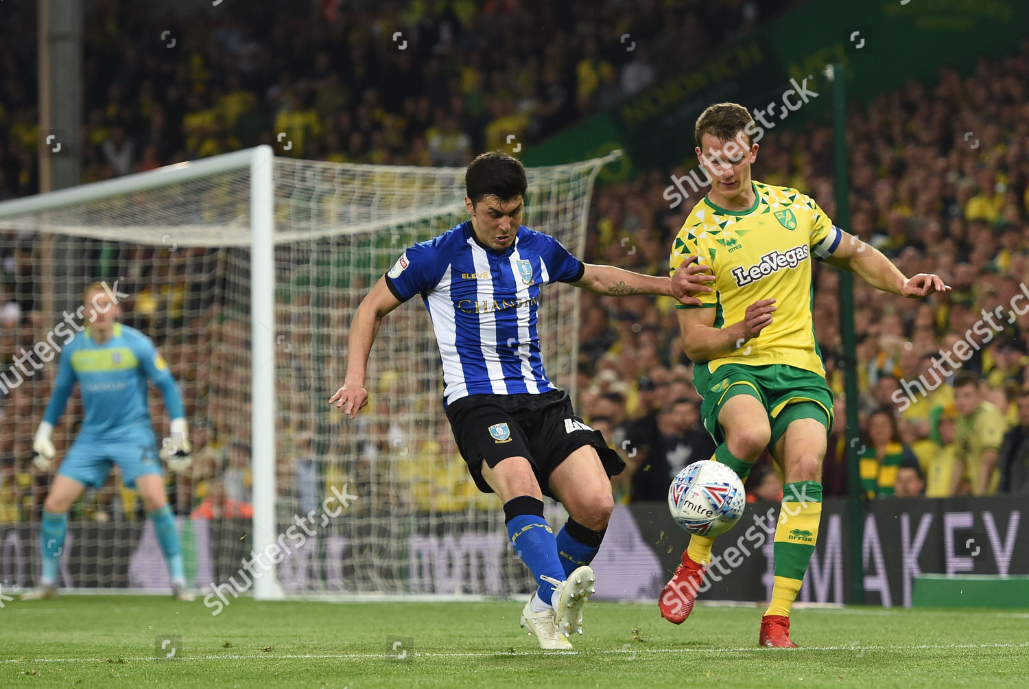 Fernando Forestieri Sheffield Wednesday Christoph Zimmermann Editorial