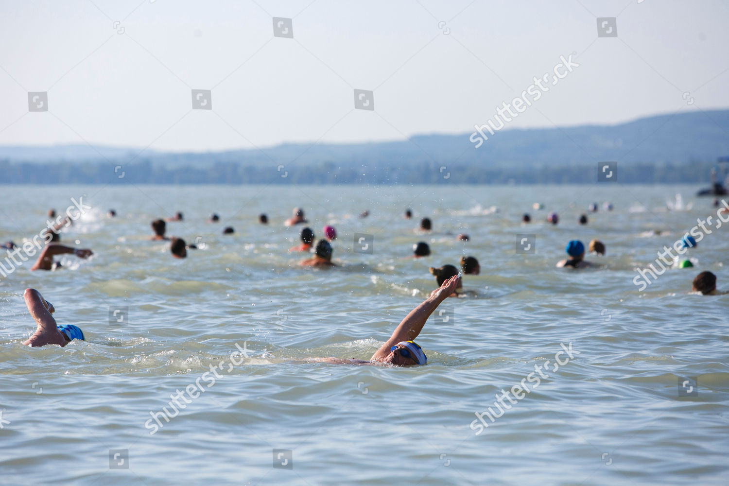 Athlets Professionals Amateurs Swim Cross Lake Editorial Stock Photo Stock Image Shutterstock