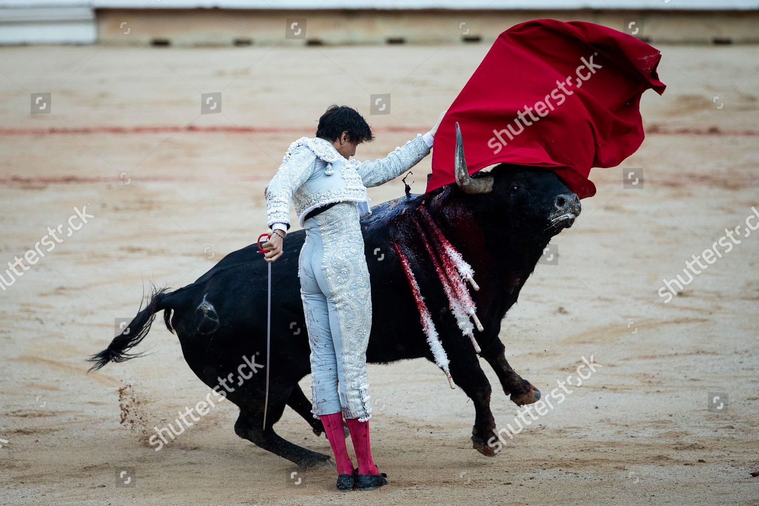 Peruvian Bullfighter Andres Roca Rey During Editorial Stock Photo