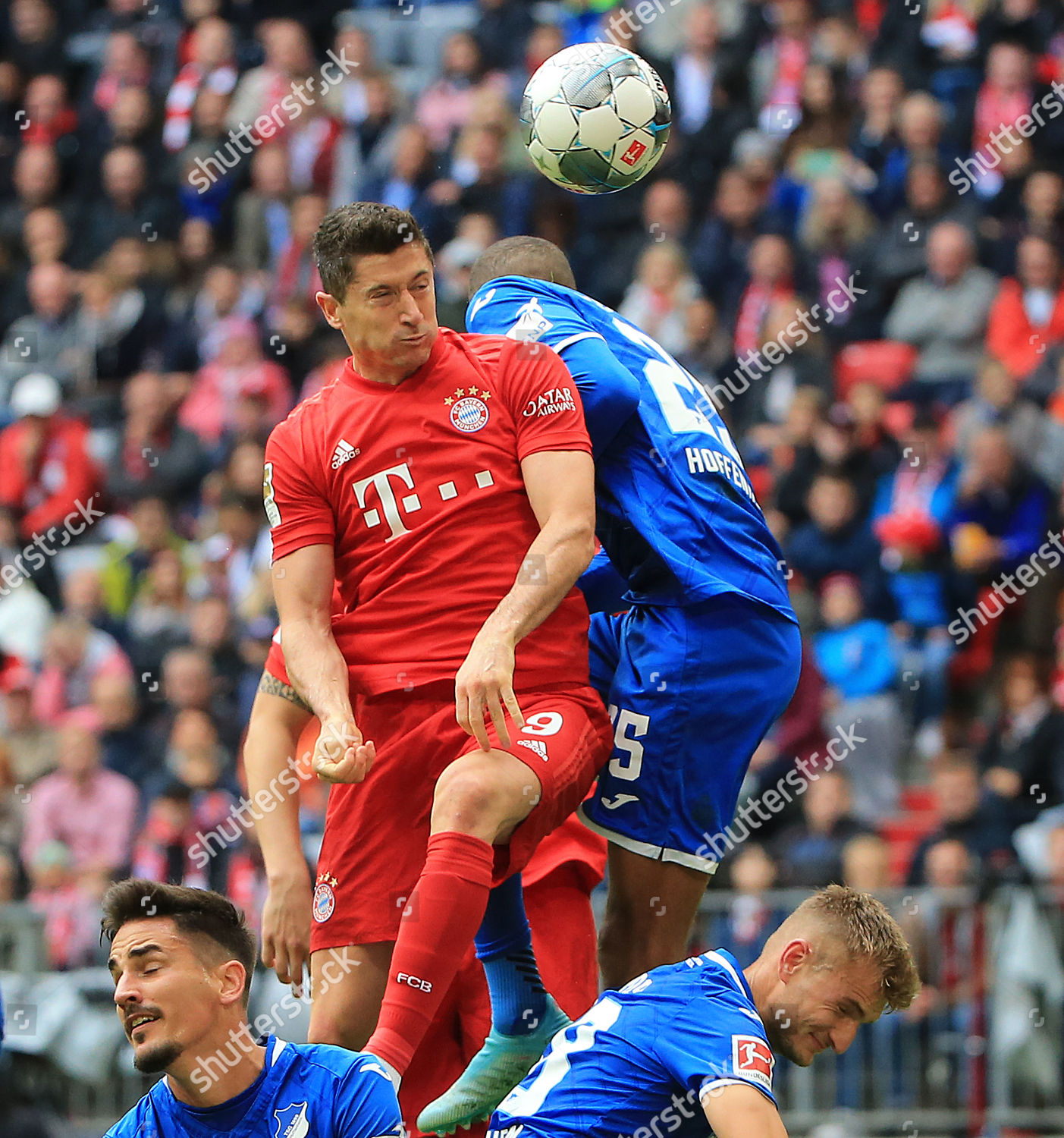 Fc Bayern Munichs Robert Lewandowski Vies Editorial Stock Photo Stock