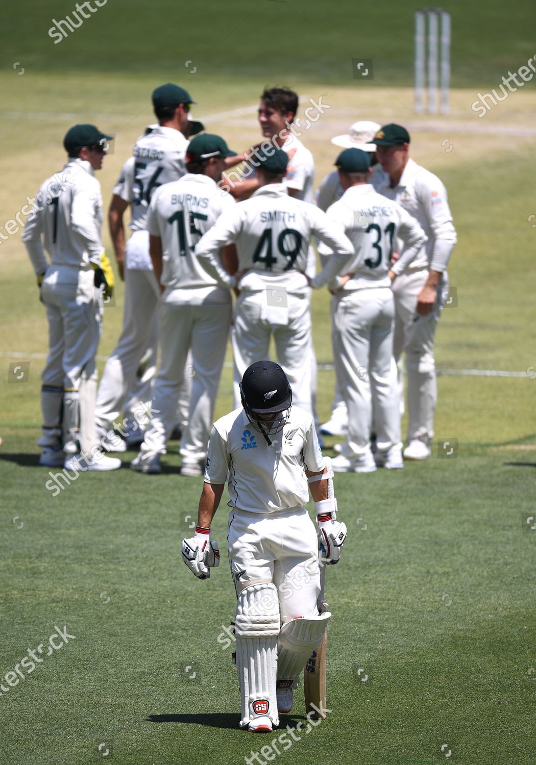 New Zealand Batsman Bj Watling C Editorial Stock Photo Stock Image