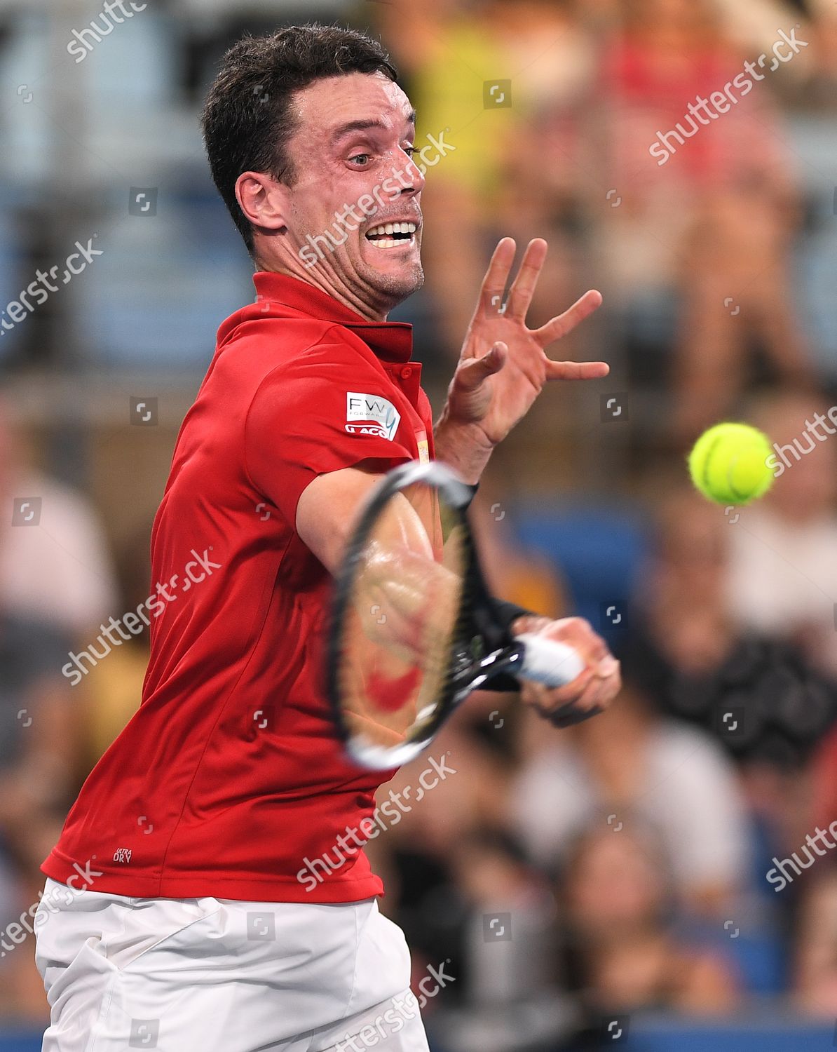 Roberto Bautista Agut Team Spain Action Editorial Stock Photo Stock