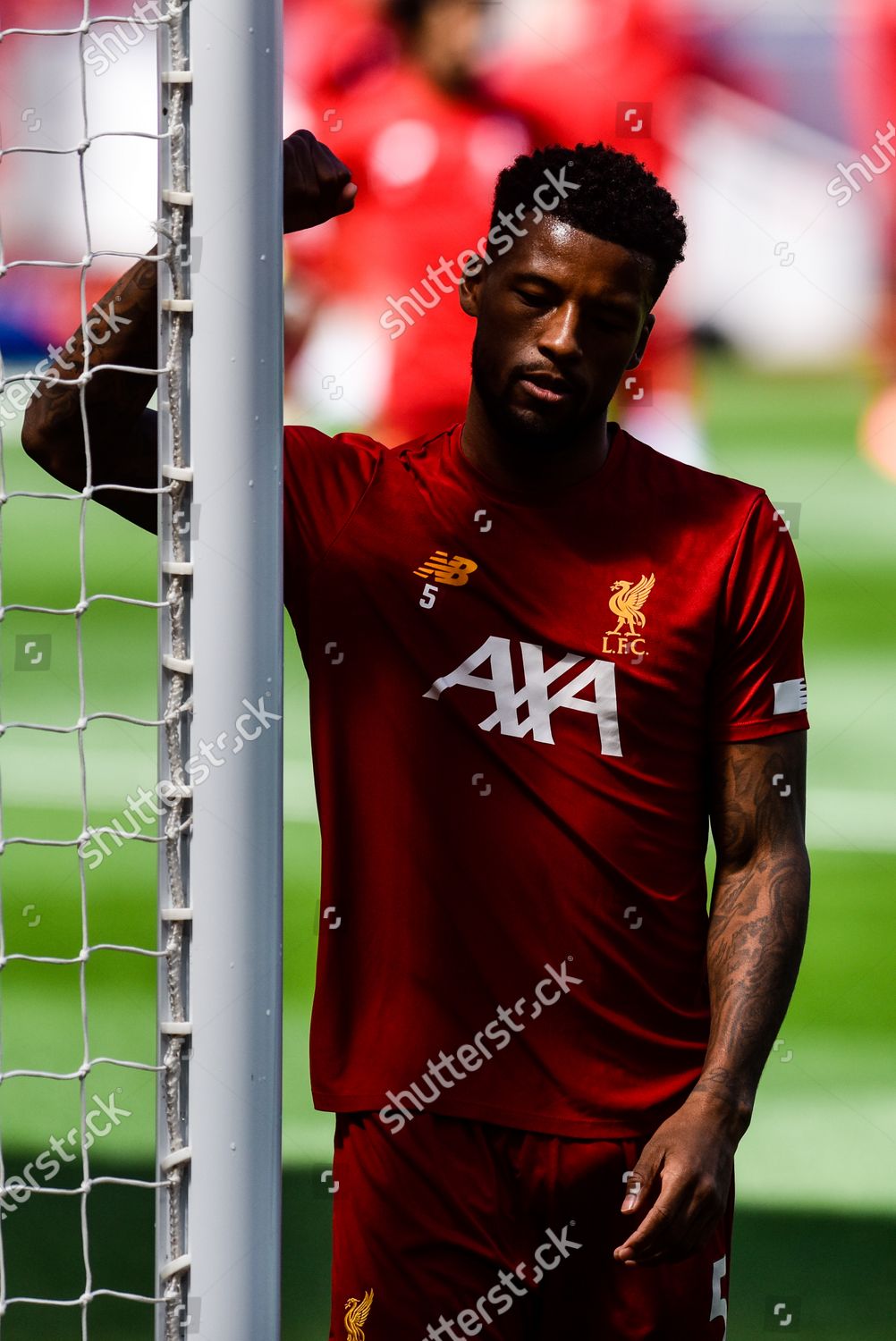 Georginio Wijnaldum During Warm Editorial Stock Photo Stock Image