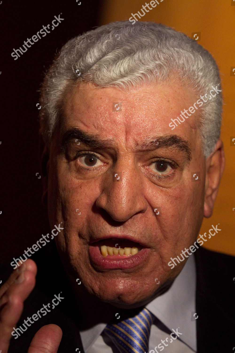 Dr Zahi Hawass Secretary General Egypts Editorial Stock Photo Stock