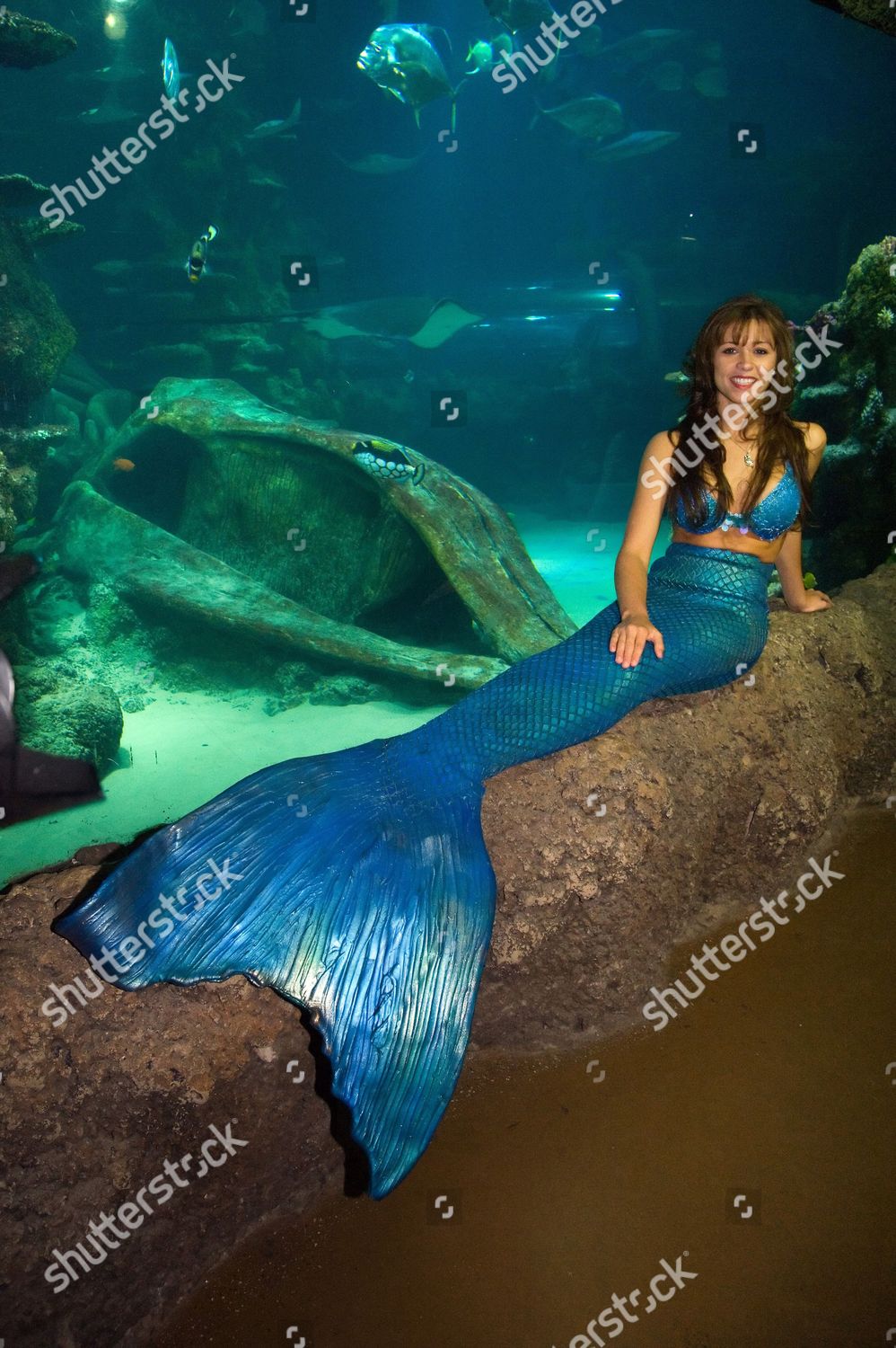 Mermaid Shannon Tooker Editorial Stock Photo Stock Image Shutterstock