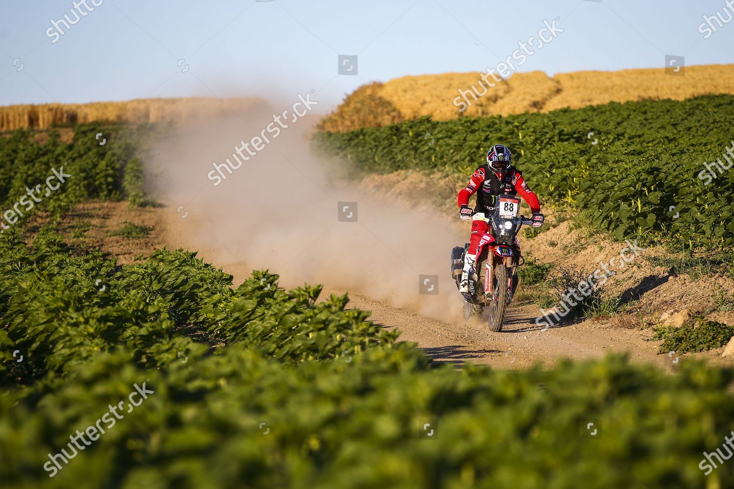 88 Bort Barreda Joan Esp Monster Editorial Stock Photo Stock Image