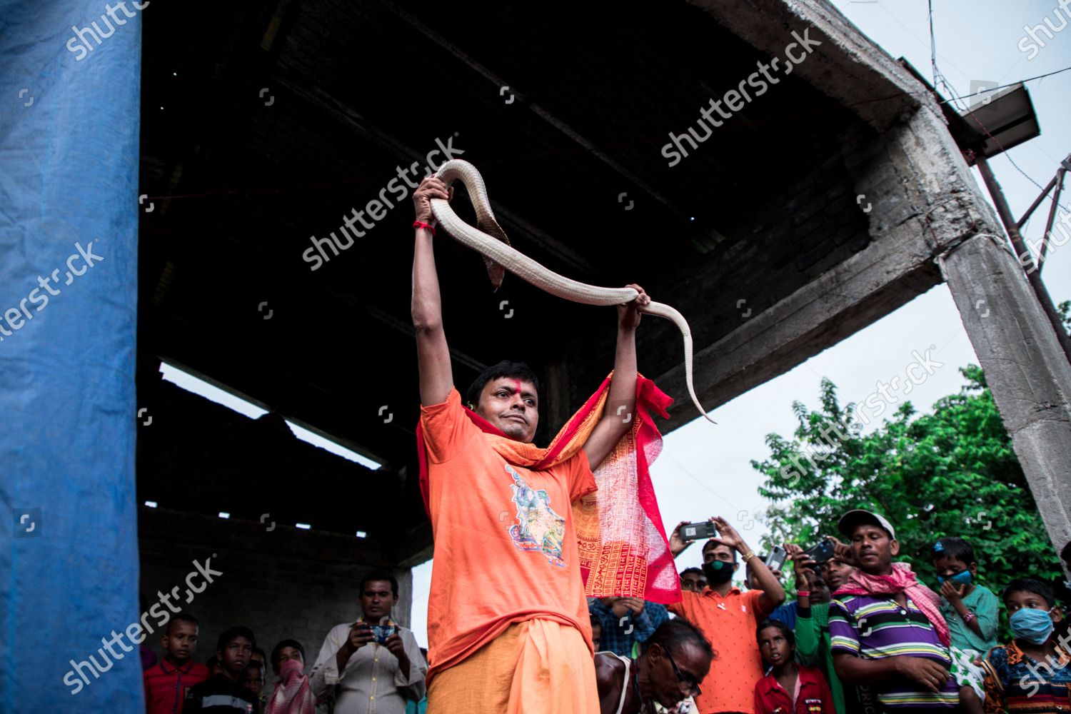 Villagers Celebrated Goddess Manasa Hindu Serpentine Editorial Stock