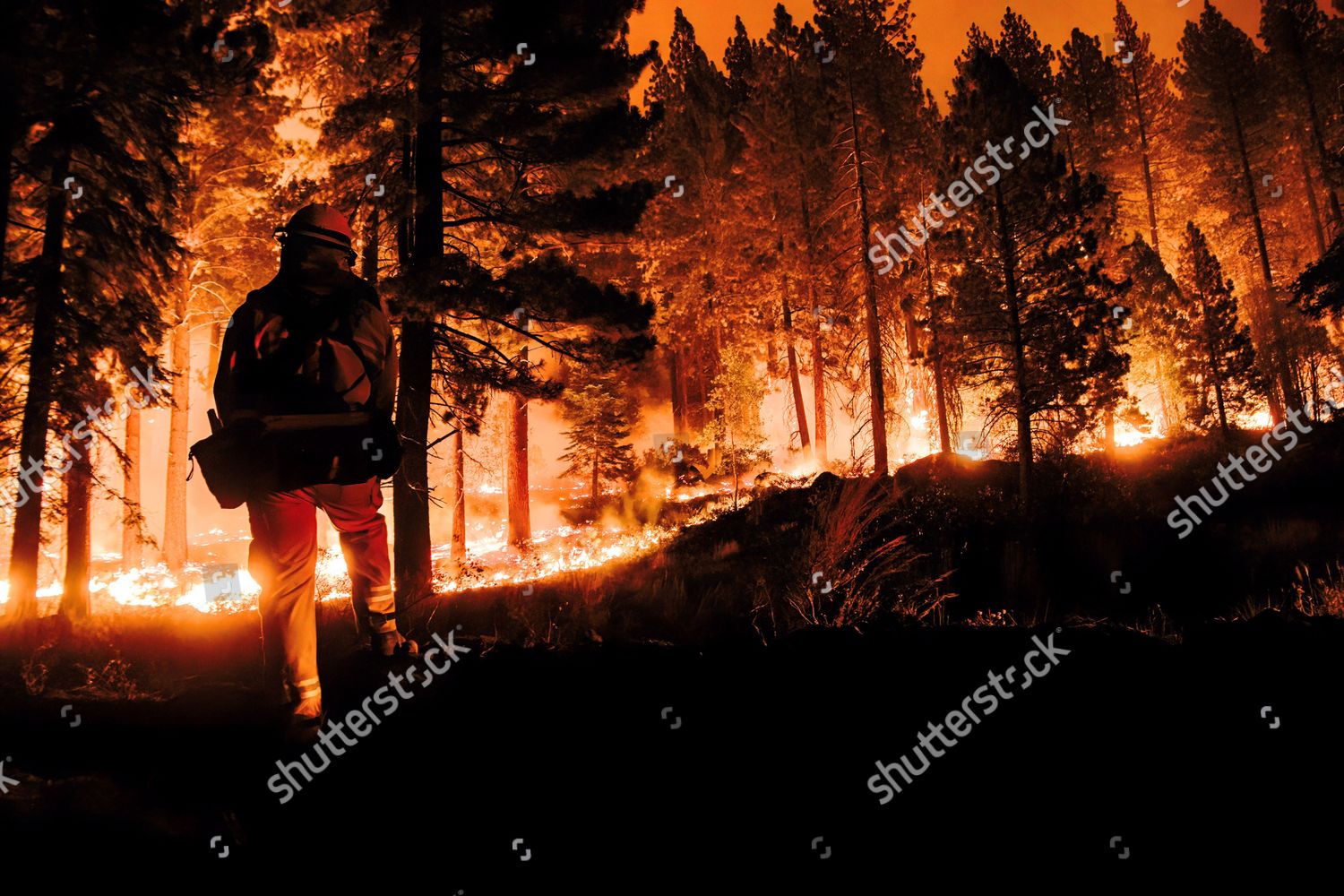 Devastating Caldor Fire Continues Crews Fight Editorial Stock Photo