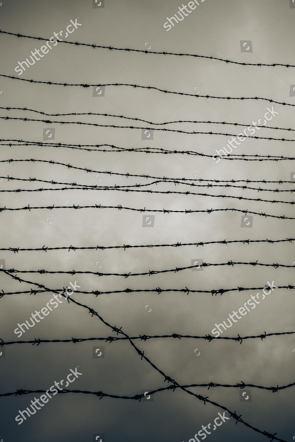 Sepia Colours Barbed Wire Fence Iron Editorial Stock Photo Stock