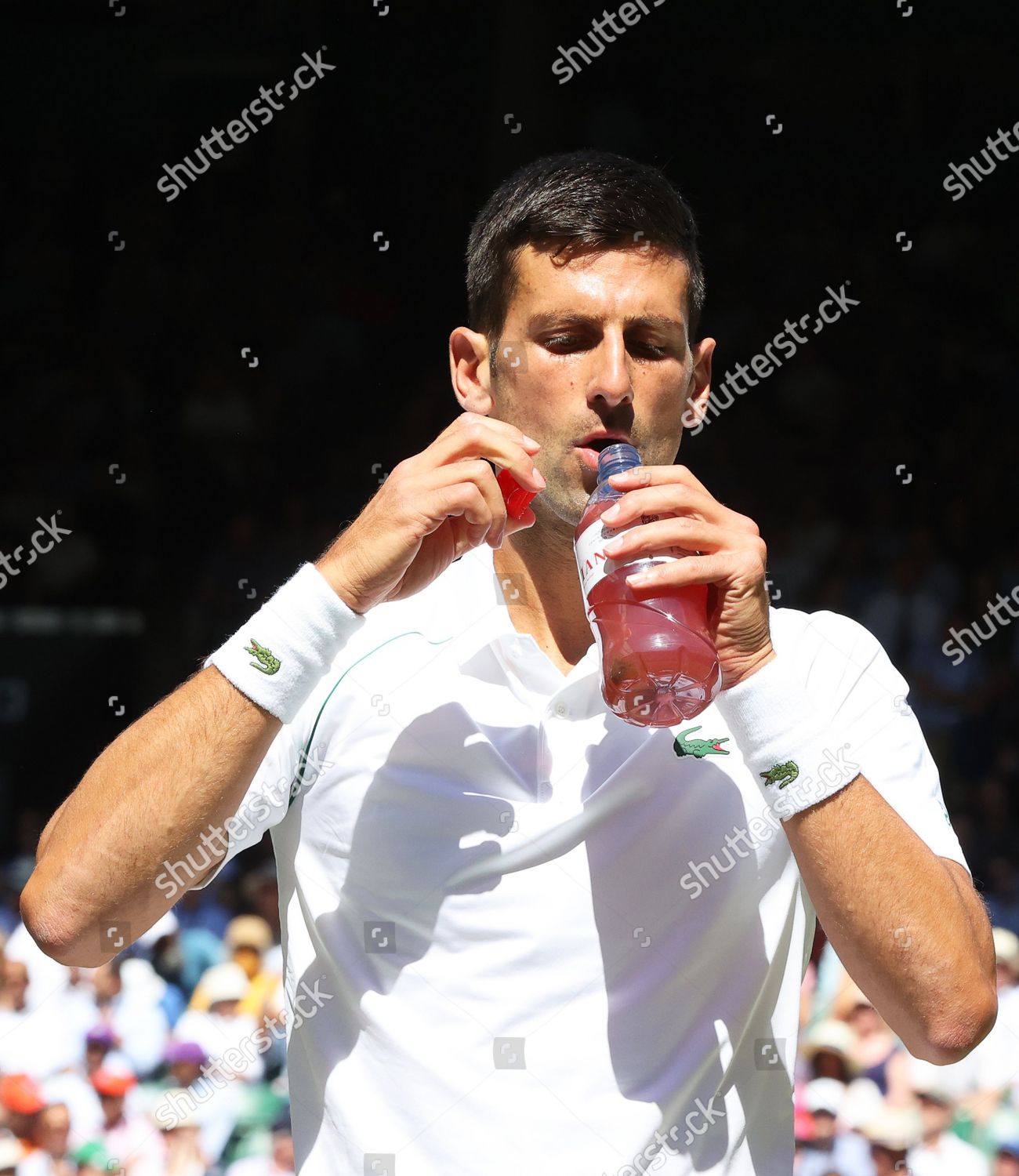 Novak Djokovic Serbia Drinks During Break Editorial Stock Photo Stock