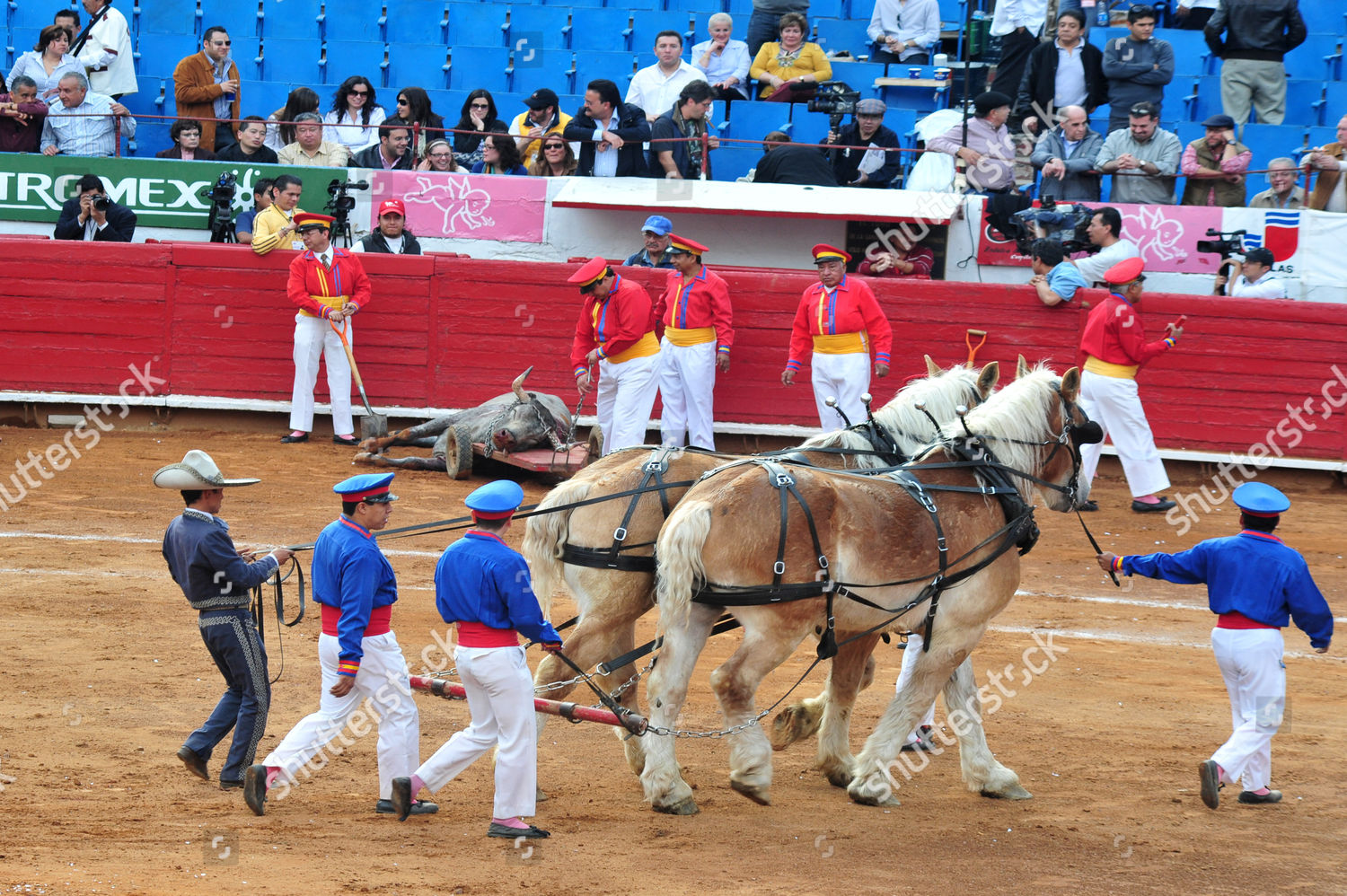 Bullfight Plaza De Toros Bull Ring Editorial Stock Photo Stock Image