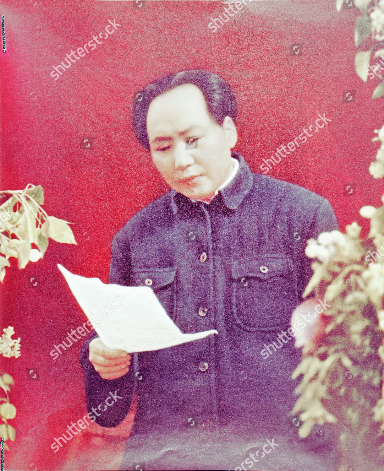 Mao Tsetung Mao Zedong 18931976 Chinese Editorial Stock Photo Stock