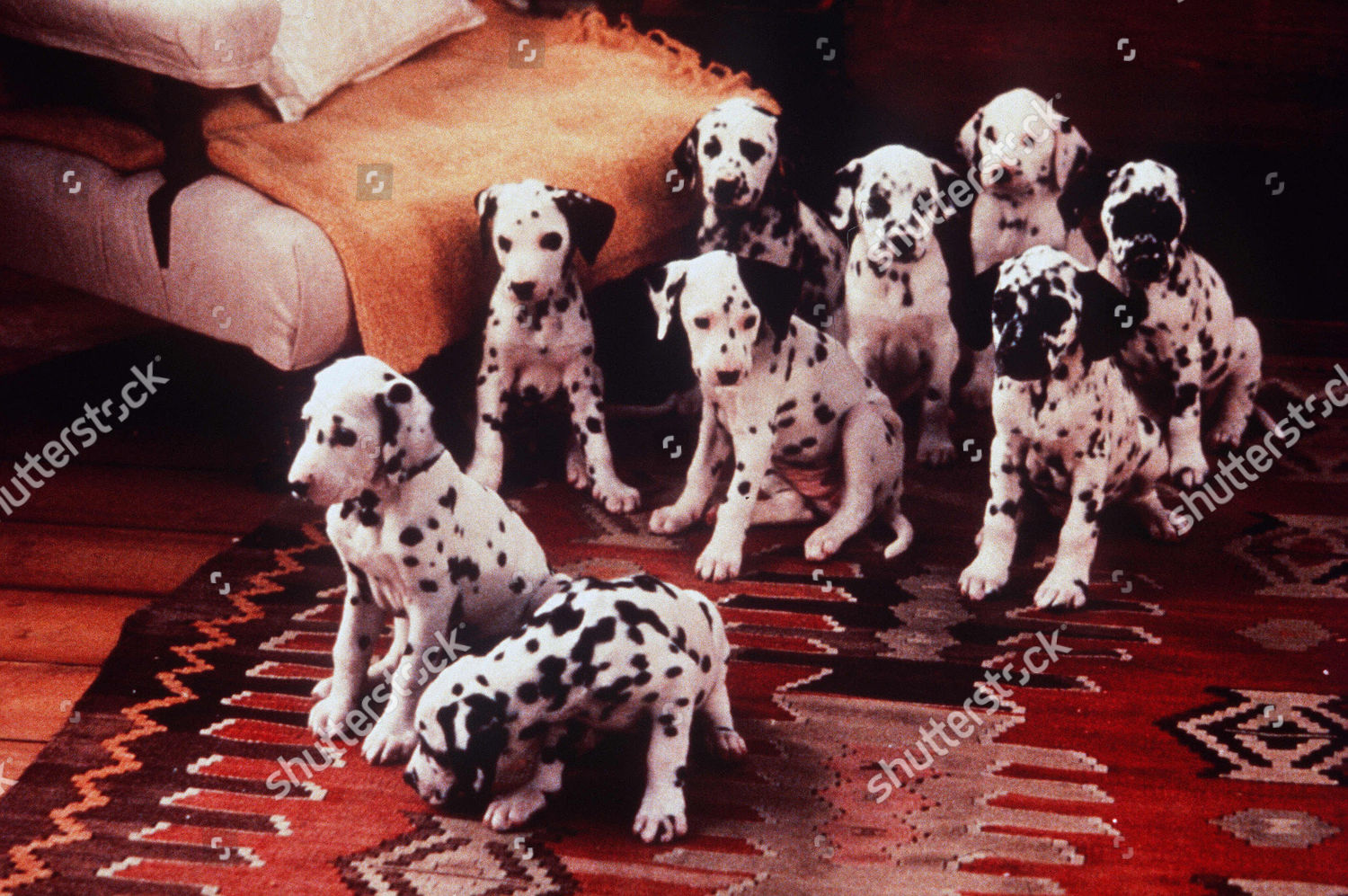 101 Dalmatians 1996 Editorial Stock Photo Stock Image Shutterstock