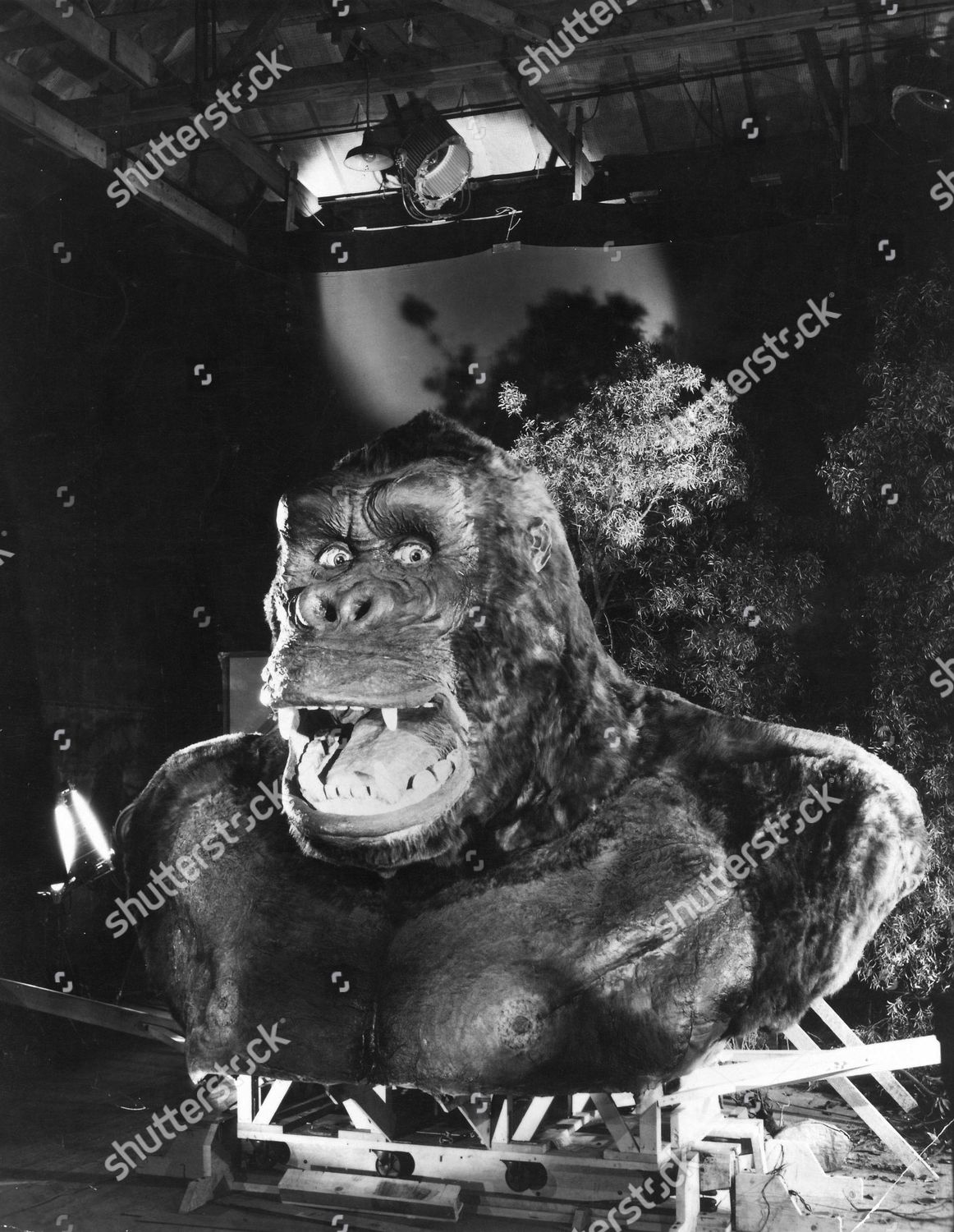 King Kong Editorial Stock Photo Stock Image Shutterstock