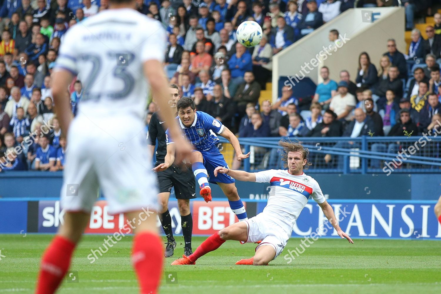 Sheffield Wednesday Forward Fernando Forestieri 45 Editorial Stock