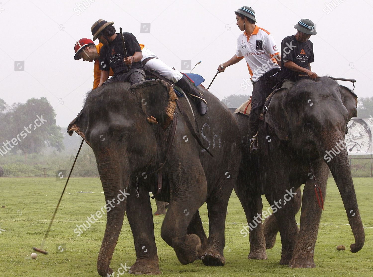 Elephant Polo Player Sanjay Choegyl R Editorial Stock Photo Stock