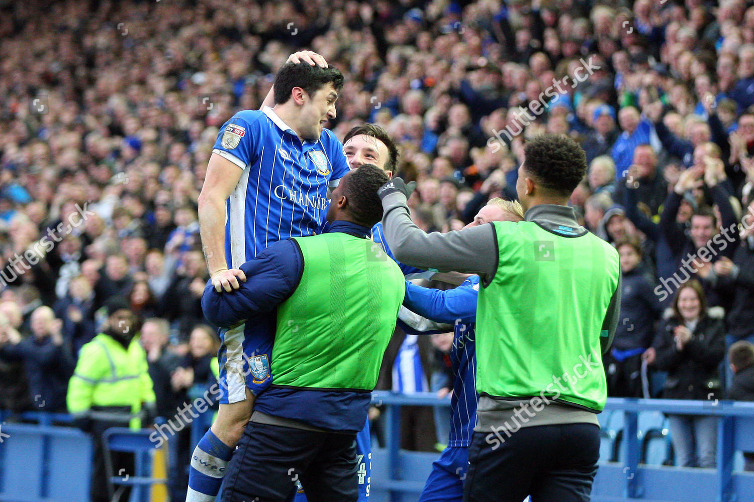 Fernando Forestieri Sheffield Wednesday Celebrates Getting Editorial