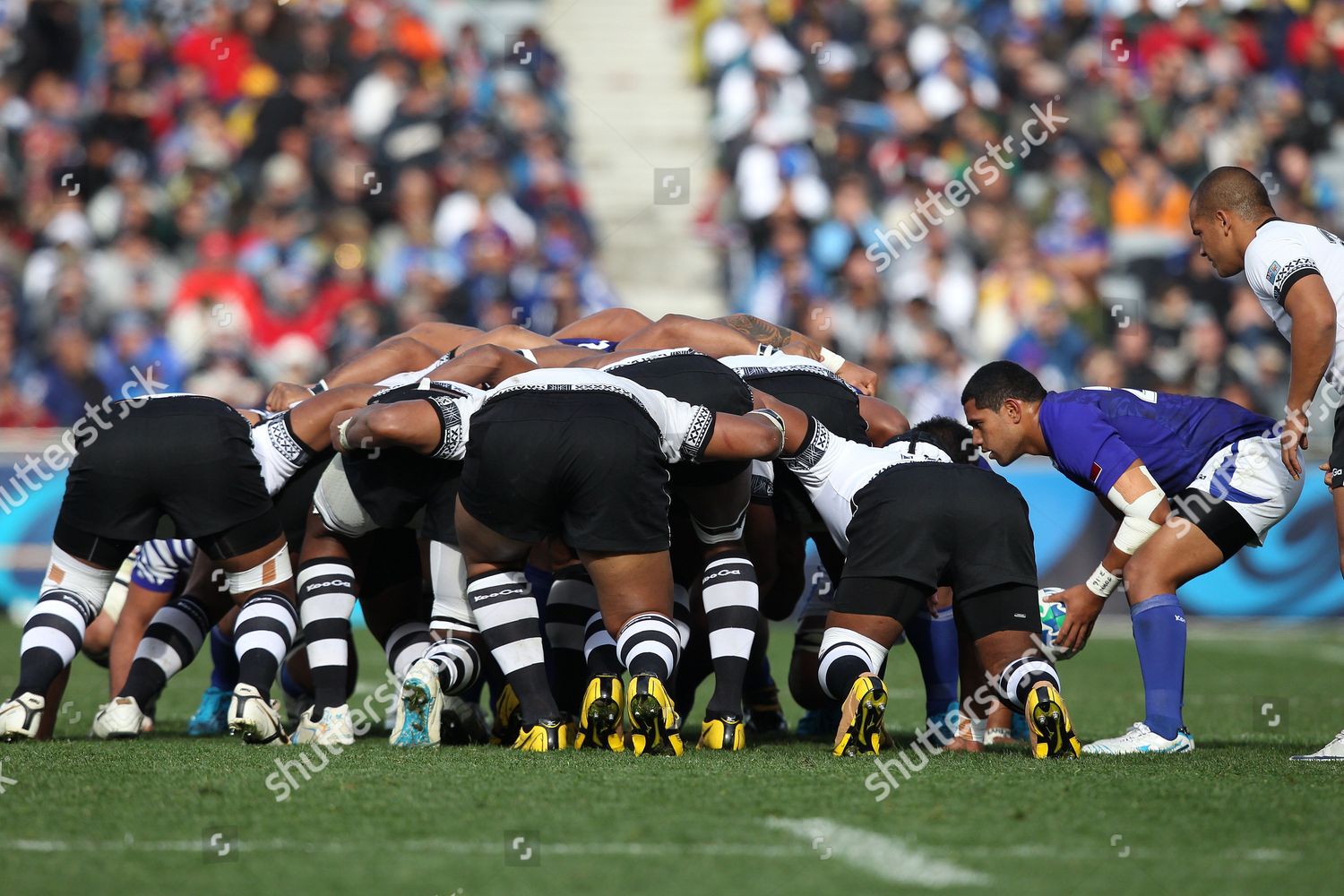 Samoas Scrumhalf Kahn Fotualii R Feeds Editorial Stock Photo Stock