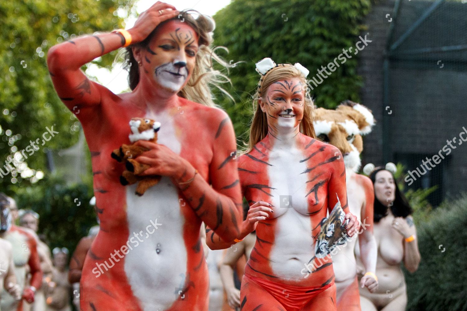 NAKED RUNNERS TAKE PART STREAK TIGERS Editorial Stock Photo Stock