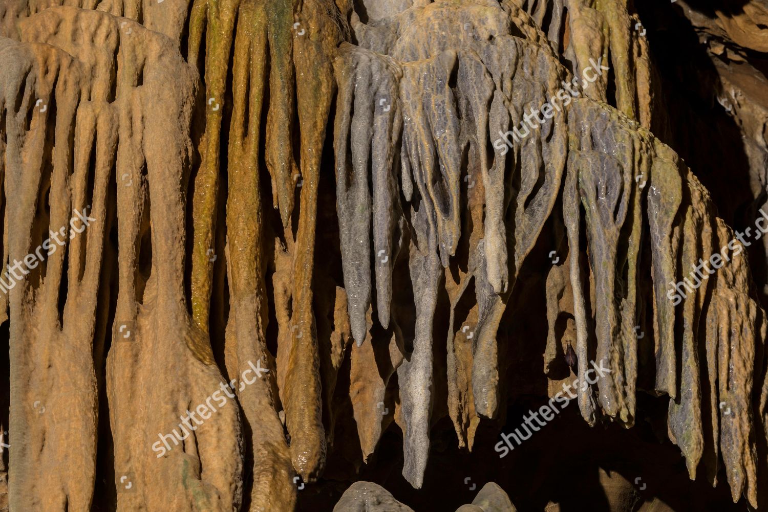 Stalactites Dripstone Cave Lurgrotte Pernegg Styria Editorial Stock